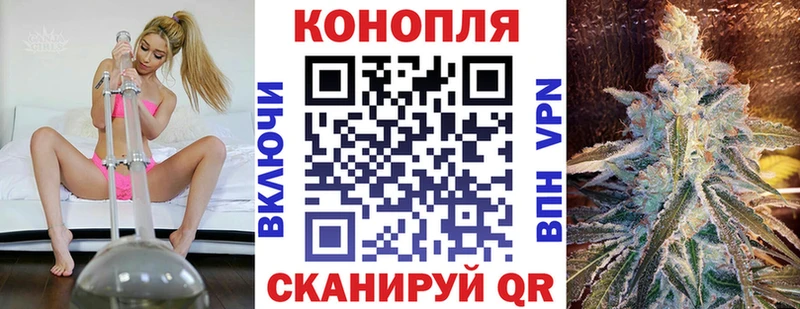 Конопля индика  где найти наркотики  Пугачёв 